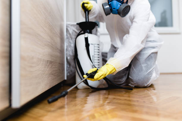 Best Wildlife Control Services  in Luverne, AL