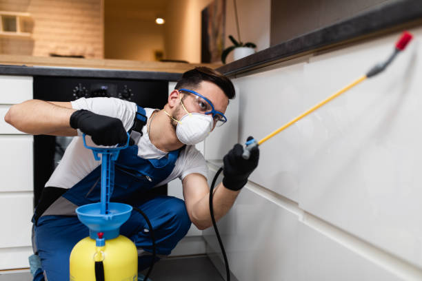 Best Local Pest Control Services  in Luverne, AL