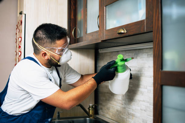Best Bed Bug Extermination  in Luverne, AL