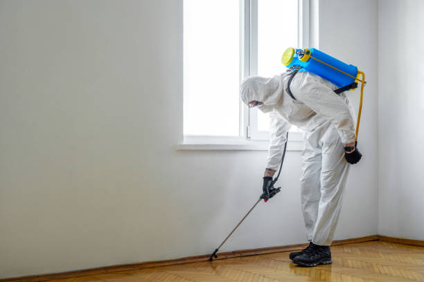 Best Commercial Pest Control Services  in Luverne, AL