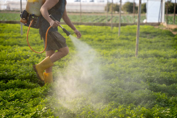 Pest Control for Restaurants in Luverne, AL