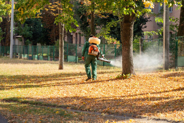 Best Rodent Control Near Me  in Luverne, AL