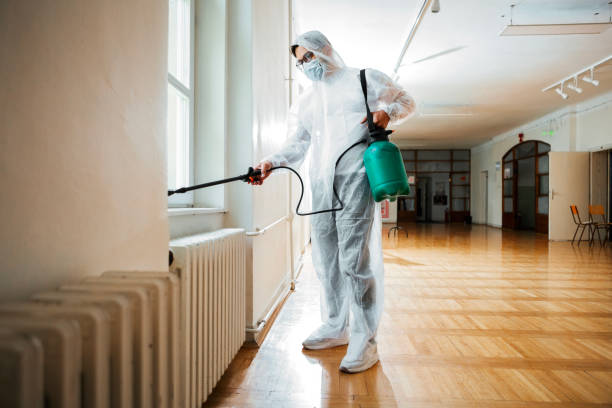Best Wasp Removal Services  in Luverne, AL