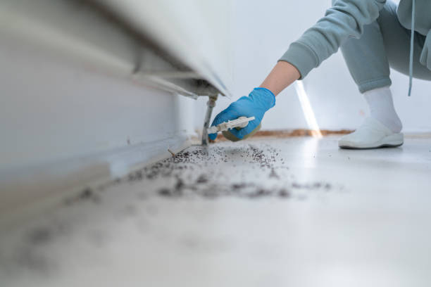 Best Cockroach Control Services  in Luverne, AL